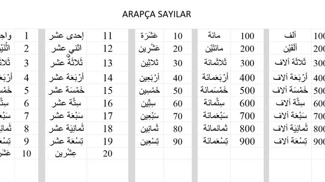 Arapça Sayılar - Arapça Eğitim | Arapça Dil Eğitimi