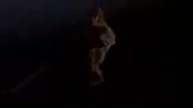 Lunacy - trailer - IFFR 2006 смотреть онлайн