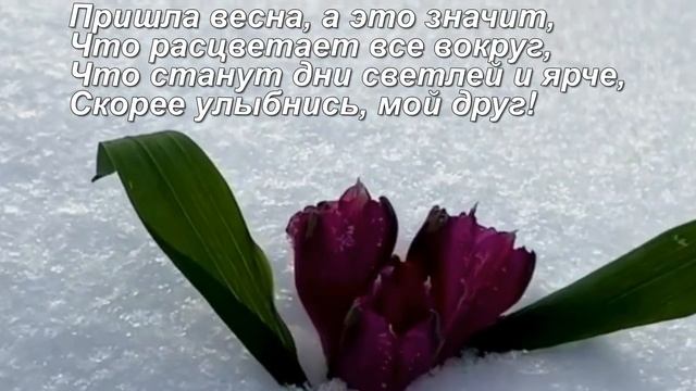 Для грусти больше нет причин, ВЕСНА пришла, и мир ожил! смотреть онлайн