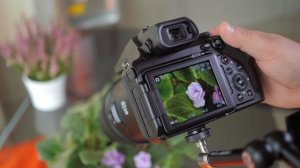 Nikon Coolpix P1000 обзор от Фотосклад.ру