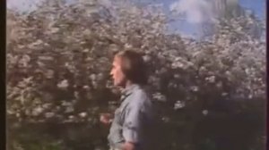 Владимир Мигуля  Вишнёвая метель Vladimir Migulia Vishniovaya Metel'