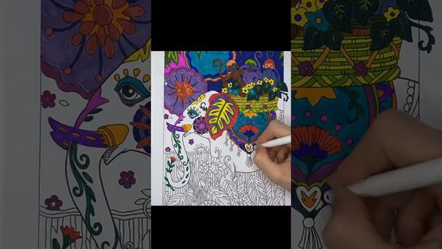 Раскраска для детей. Раскраска Слон. Раскраска Обезьяны. Животные смотреть онлайн