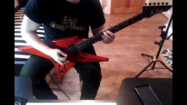 Slayer - Raining Blood / Guitar Cover / BC Rich Ironbird смотреть онлайн