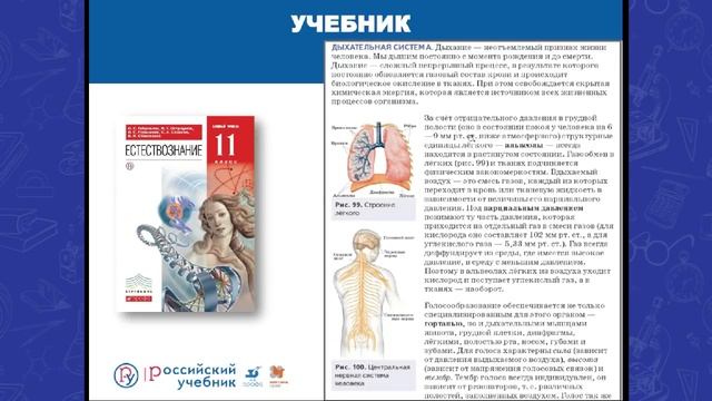 Курс «Естествознание» в старших классах смотреть онлайн