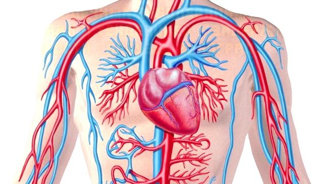 Какие овощи и фрукты противопоказаны при 20 серьезных заболеваниях!