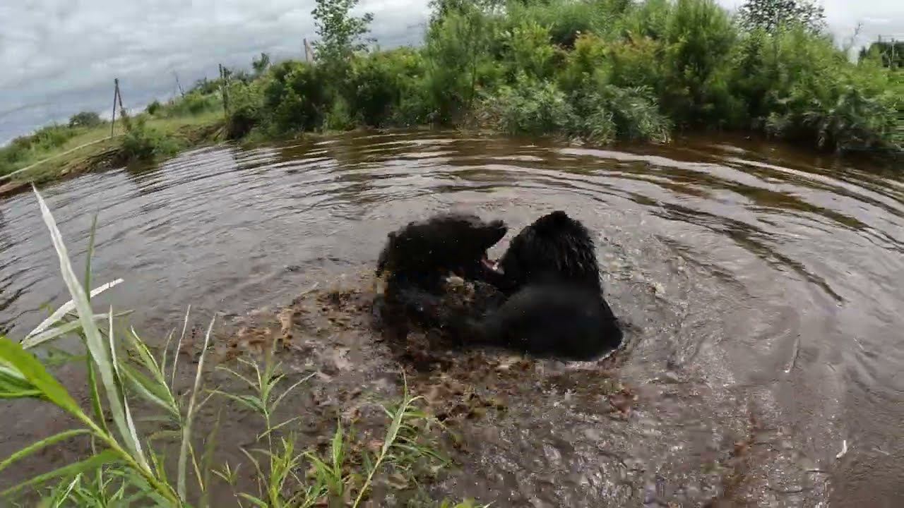 Зря надеялся на лёгкую прогулку.. смотреть онлайн