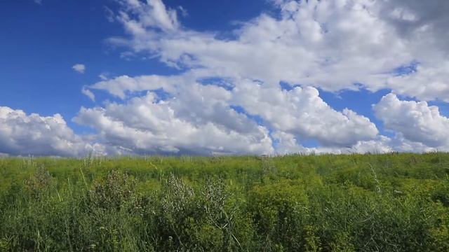 Звуки природы, звуки степи, для релаксации, сна, медитации #звукиприроды #звукистепи  #медитация