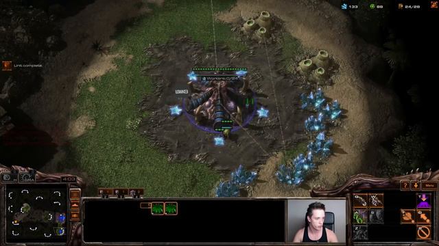 StarCraft 2: Calculated ZERG CHEESE! (4K) смотреть онлайн