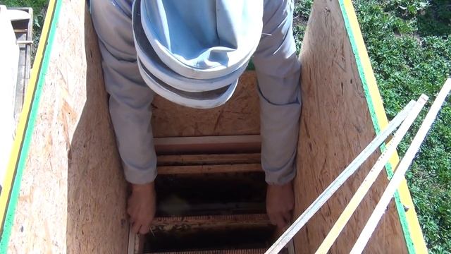 как собрать майский мед улей Цебро смотреть онлайн