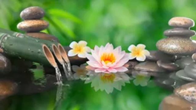 Самая красивая мелодия на свете! Эту музыку можно слушать вечно! Лучшая Музыка Для Снятия Усталости смотреть онлайн