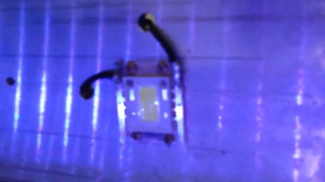 DIY LED AQUARIUM LIGHTING - Reef Tank смотреть онлайн