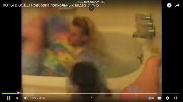 приколы с котиками. смотреть онлайн