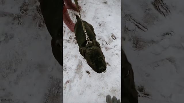 VID_20230326_184930.mp4 смотреть онлайн