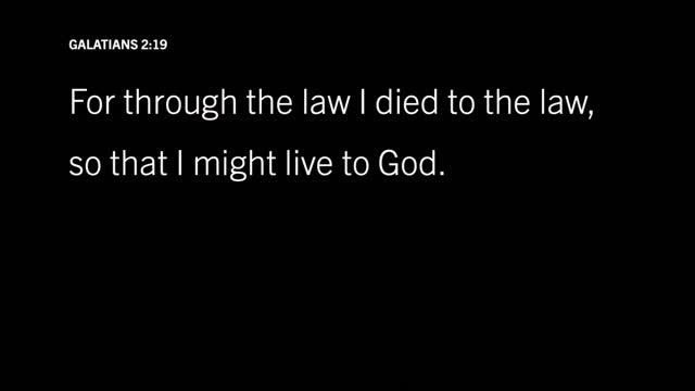 The Law Refutes Justification by Law: Galatians 3:6–9, Part 1 смотреть онлайн