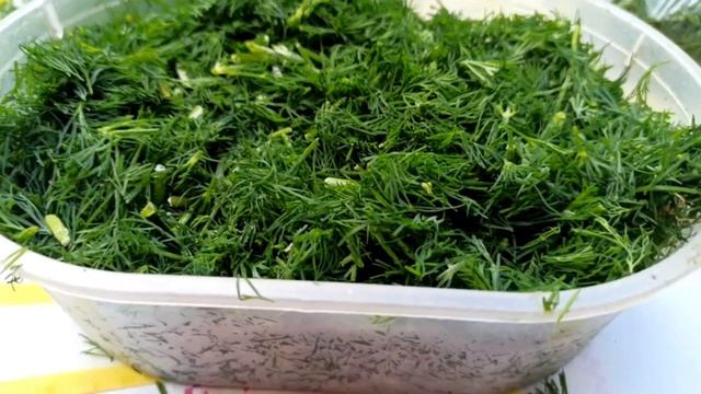 Заготовка укропа на зиму с сохранением аромата и витамин #food смотреть онлайн