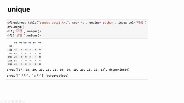 데이터과학 파이썬 12강 part 2: 데이터프레임 describe, isnull, fillna, unique смотреть онлайн