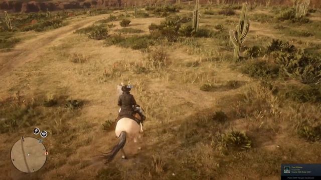 Salvia Coccinea per le sfide giornaliere - Red Dead Online смотреть онлайн