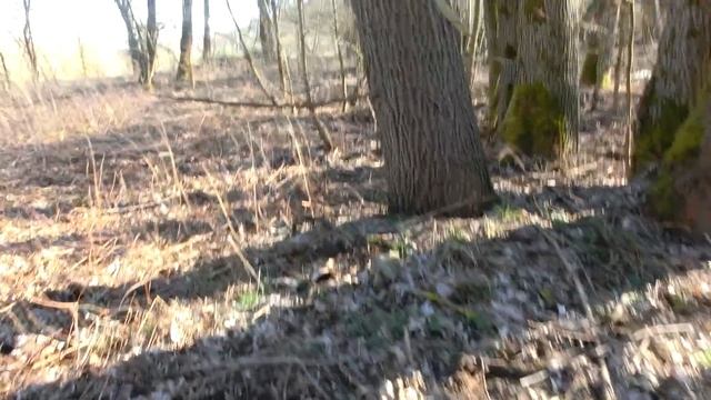 Forst Zinna.Расположение автобата в/ч32972. 27.02.2019 смотреть онлайн