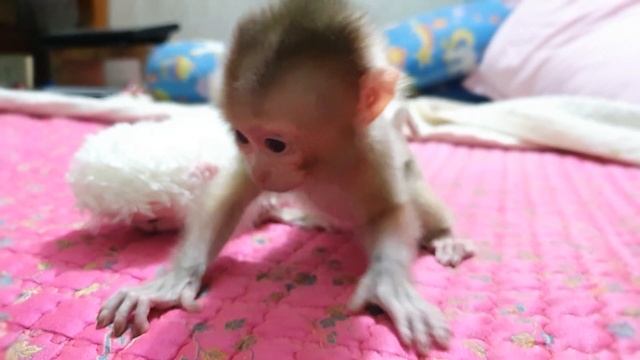 May 22, 2020 смотреть онлайн