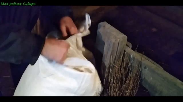 Чем мы с мужем занимаемся с утра в деревне? Какую работу мы делаем? смотреть онлайн
