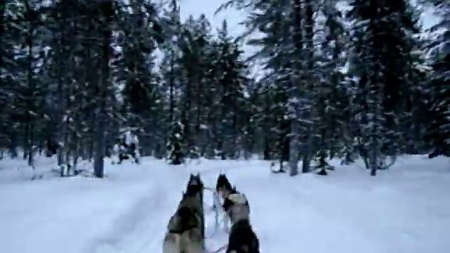 Iso-Syote Husky Sledge Ride смотреть онлайн