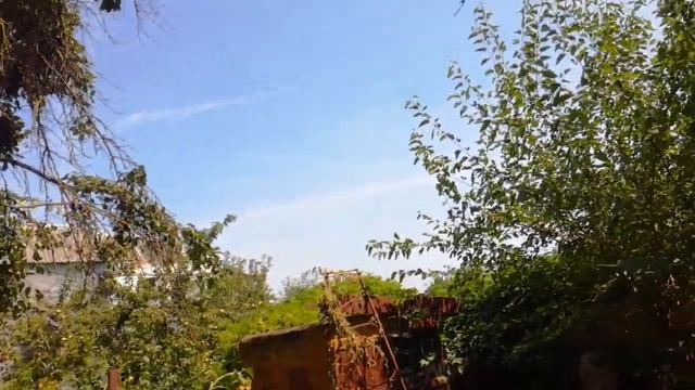 ДАЧНЫЙ СЕЗОН ПРОДОЛЖАЕТСЯ ОКАТИЛАСЬ КОШКА ЧЕРНЯВКА ХИМТРЕЙЛЫ НАД РОСТОВОМ НА ДОНУ смотреть онлайн