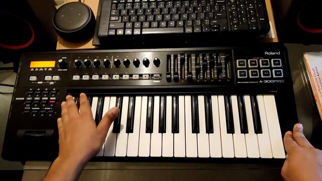 This MIDI Is Awesome Roland A 300 Pro | Review