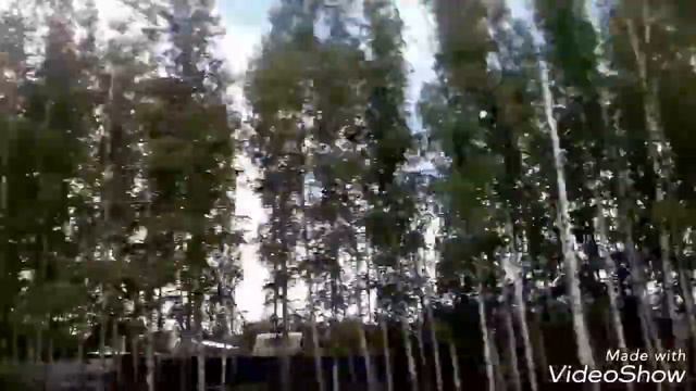 лето//11 июня смотреть онлайн