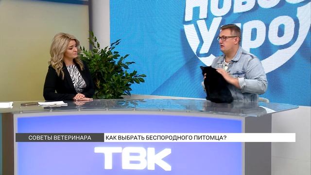 Как выбрать беспородное животное? смотреть онлайн