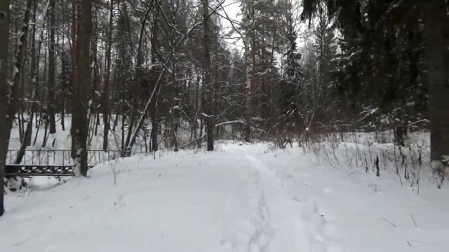 18. 12. 18 Саров. Дальняя Пустынка. Возраст сосны Серафима Саровского. смотреть онлайн