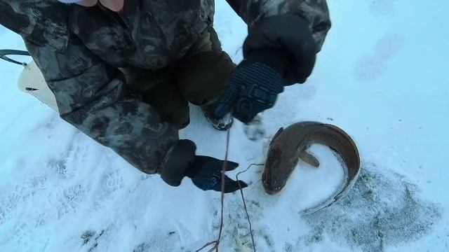 Проверяем поставушки с берега . +. смотреть онлайн