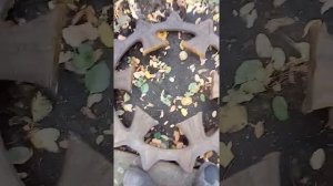 Переделка ДТ 75 на колеса | Часть 1