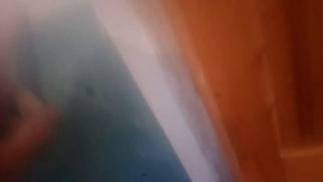 Сырость на стене