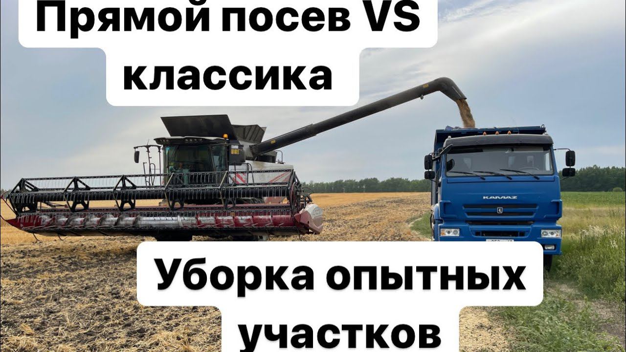 Технология но-тилл. Уборка опытных участков. смотреть онлайн