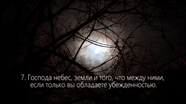 Абдуллах Хумейд Сура Ад-Духан 4-8 смотреть онлайн