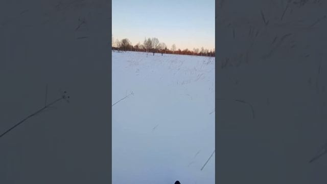 Поздравляю со Старым Новым годом! Прогулка на снегоходе Стелс Капитан. Следы зверей... смотреть онлайн
