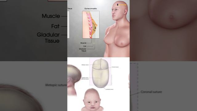 Did King Tut Have Female Hips? смотреть онлайн