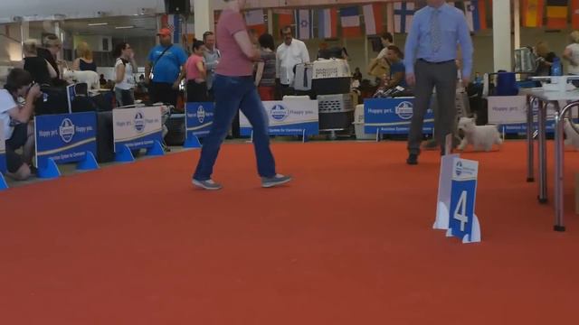 cacib nitra 2015 06 06 смотреть онлайн