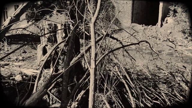 VID 20220720 000050 Песенка для себя 1979 (Г. Айги)...Павел Васильев Лахтинский смотреть онлайн