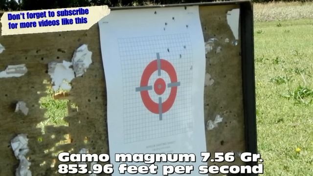 Gamo Silent Cat .177 cal. review and choosing the right pellet - Pelletonix смотреть онлайн
