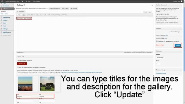 Gallery WordPress Plugin - How to add a gallery - Version 4.1.0 смотреть онлайн