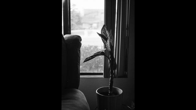 1938 Leica II Model "D" Review & Samples смотреть онлайн