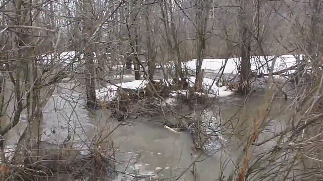 Весеннее половодье