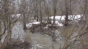 Весеннее половодье