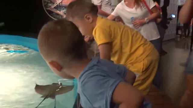 Двойняшки МИША и ЛЕША поехали в океанариум АНТАЛИИ! #видеодлядетей #kidsvideo #длядетей #forkids