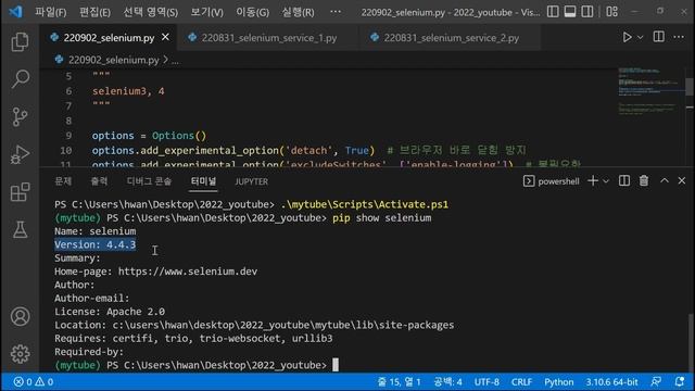 파이썬 셀레니움(selenium) 크롬드라이버 설치없이 webdriver_manager로 자동설치, 버전 관리 смотреть онлайн