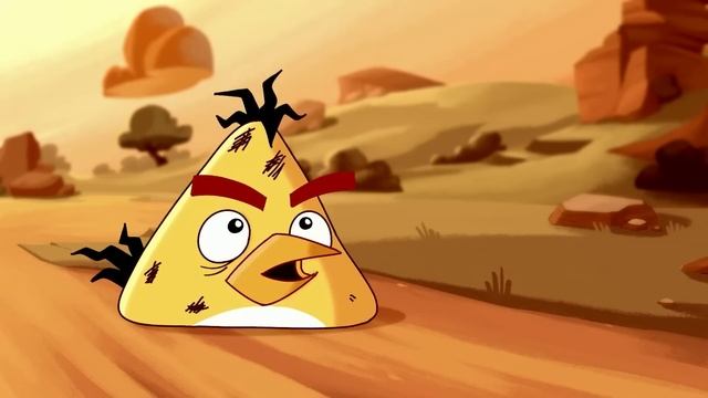 Angry Birds | Monthly Favorites ?✨