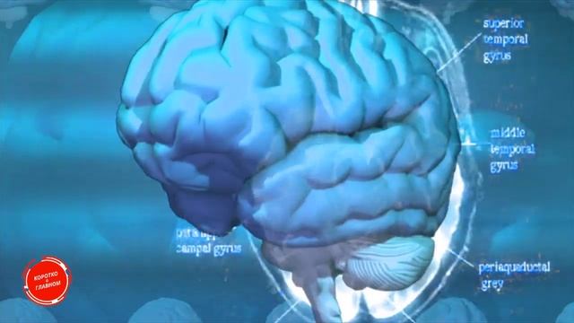 Гормональный Сбой у Женщин. Восстановить Гормональный Баланс.