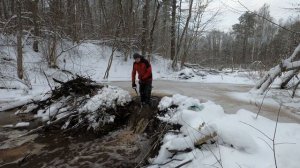 2 Бобровые плотины рядом. Разбираю первую
