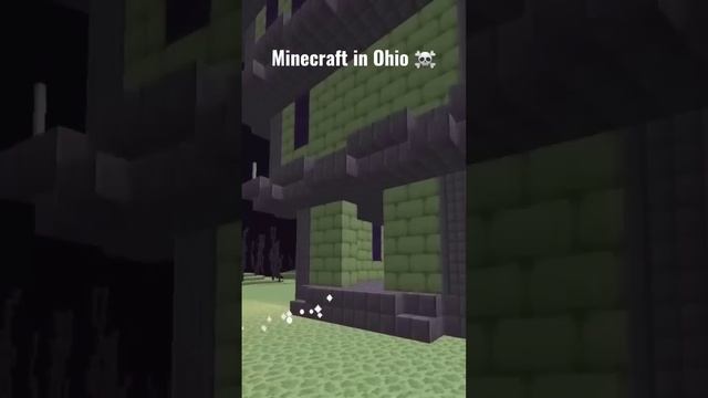 Can't even play Minecraft in Ohio ? Pt 2 смотреть онлайн